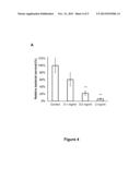 HUMAN LACTOFERRIN DERIVED PEPTIDES AND THEIR USE diagram and image