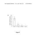 HUMAN LACTOFERRIN DERIVED PEPTIDES AND THEIR USE diagram and image