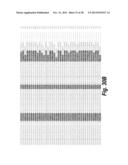 TARGETED THERAPEUTICS BASED ON ENGINEERED PROTEINS FOR TYROSINE KINASES     RECEPTORS, INCLUDING IGF-IR diagram and image