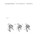 HUWENTOXIN-IV VARIANTS AND METHODS OF USE diagram and image