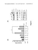 DEXAMETHASONE COMBINATION THERAPY diagram and image