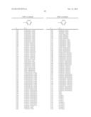 4-(4-PYRIDINYL)-BENZAMIDES AND THEIR USE AS ROCK ACTIVITY MODULATORS diagram and image