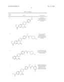 KINASE INHIBITORS diagram and image