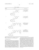 KINASE INHIBITORS diagram and image