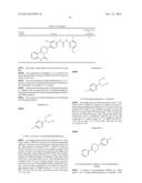 KINASE INHIBITORS diagram and image