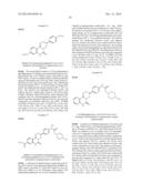 KINASE INHIBITORS diagram and image