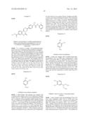 KINASE INHIBITORS diagram and image