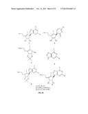 Fluoro-homoneplanocin A and nucleoside derivatives, method for the     synthesis thereof, and the pharmaceutical compositions comprising the     same as an active component for treatment of cancer diagram and image