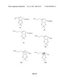 Fluoro-homoneplanocin A and nucleoside derivatives, method for the     synthesis thereof, and the pharmaceutical compositions comprising the     same as an active component for treatment of cancer diagram and image