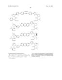 INHIBITORS OF HCV NS5A PROTEIN diagram and image