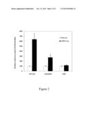 MIR-21 PROMOTER DRIVEN TARGETED CANCER THERAPY diagram and image