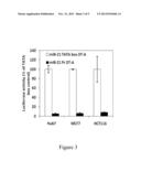 MIR-21 PROMOTER DRIVEN TARGETED CANCER THERAPY diagram and image