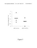 MIR-21 PROMOTER DRIVEN TARGETED CANCER THERAPY diagram and image