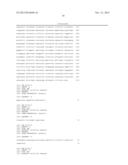 MIR-21 PROMOTER DRIVEN TARGETED CANCER THERAPY diagram and image