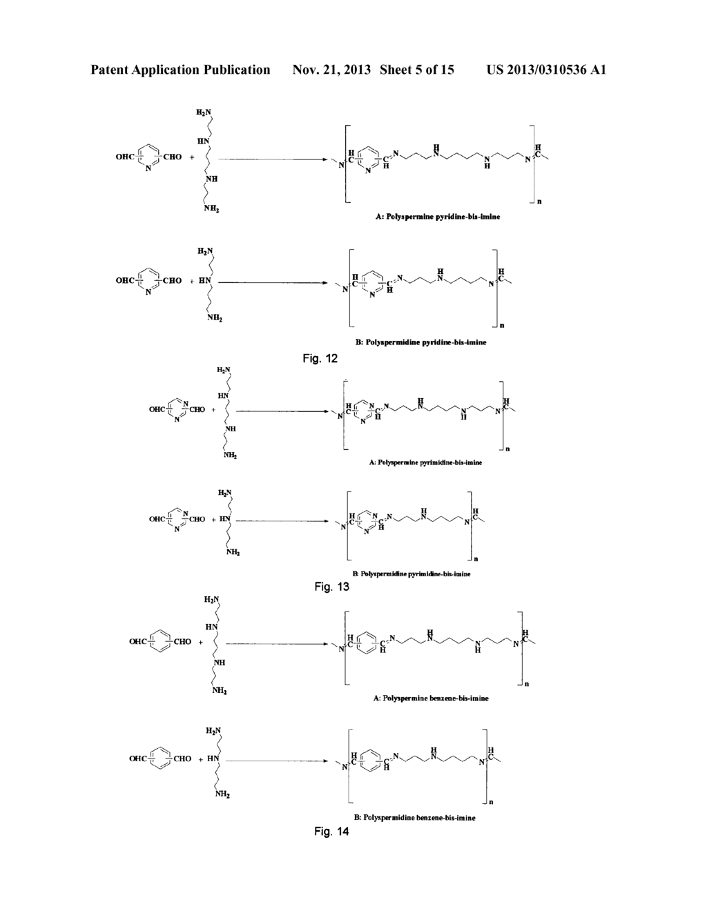 CATIONIC POLYMERS FORMED FROM AMINO GROUP-BEARING MONOMERS AND     HETEROCYCLIC LINKERS - diagram, schematic, and image 06