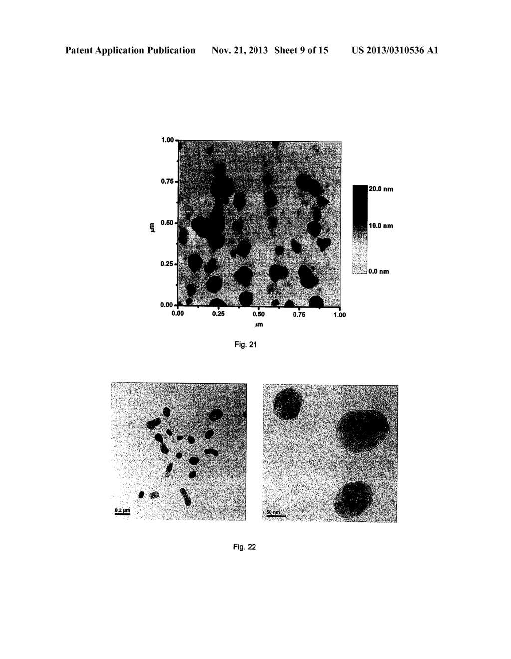 CATIONIC POLYMERS FORMED FROM AMINO GROUP-BEARING MONOMERS AND     HETEROCYCLIC LINKERS - diagram, schematic, and image 10