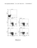 Screening Method for Substance Having Hemocyte Maturation Acceleration     Action diagram and image