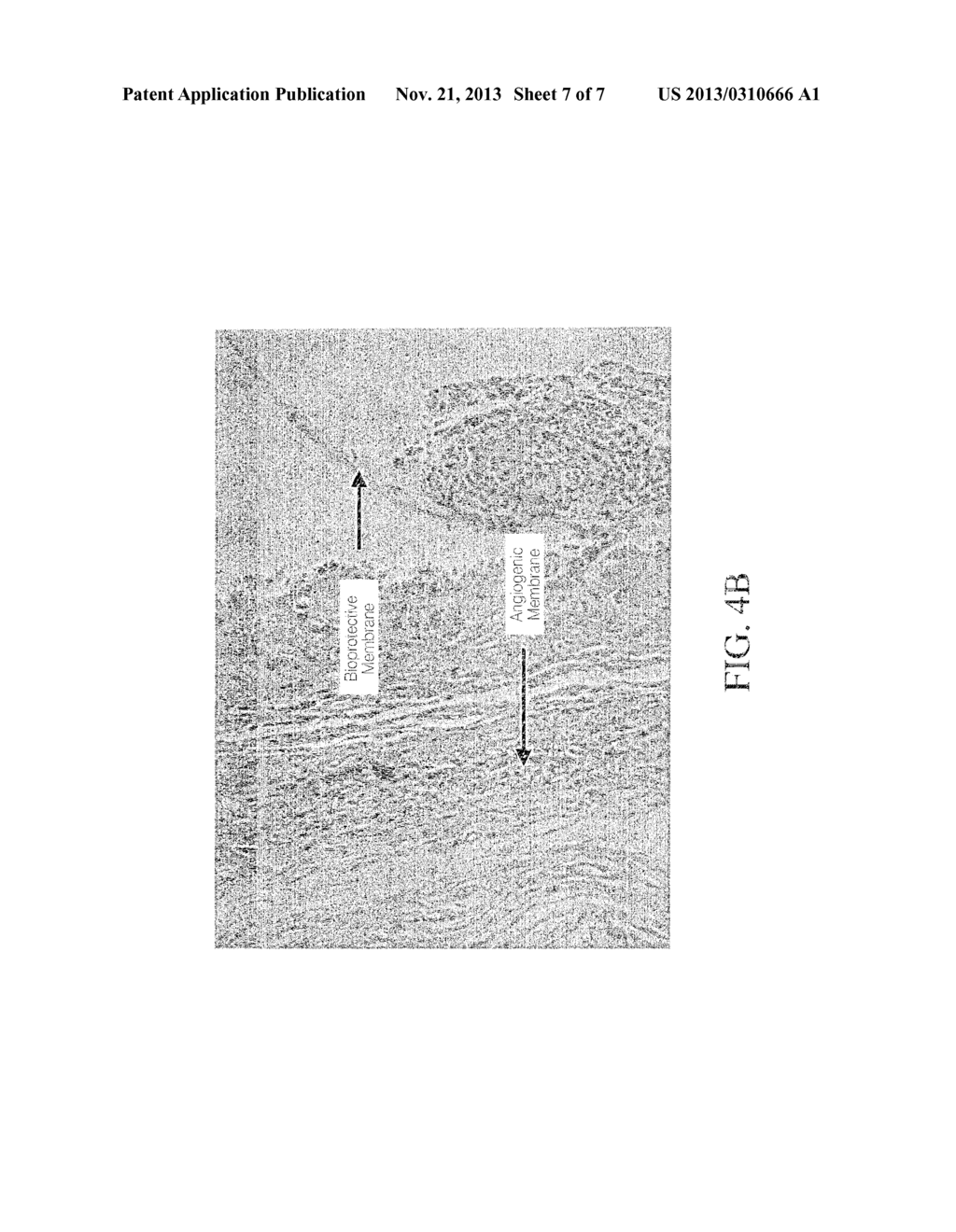 DEVICE AND METHOD FOR DETERMINING ANALYTE LEVELS - diagram, schematic, and image 08