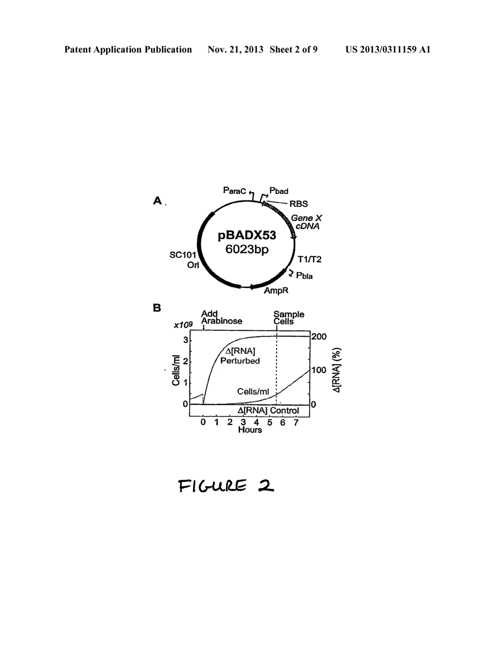 SYSTEMS AND METHODS FOR REVERSE ENGINEERING MODELS OF BIOLOGICAL NETWORKS - diagram, schematic, and image 03