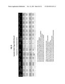 Determining the Probability of Default for a Depository Institution diagram and image