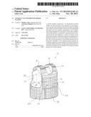 INTERNAL VEST DIVIDER FOR ARMOR PLATING diagram and image