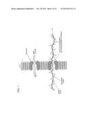 CHARACTERIZATION OF INDIVIDUAL POLYMER MOLECULES BASED ON     MONOMER-INTERFACE INTERACTIONS diagram and image