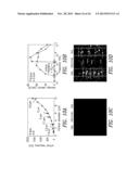 Microfluidic Processing of Target Species in Ferrofluids diagram and image