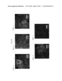 ORGANIC EL ELEMENT diagram and image