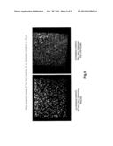 CARBON NANOTUBE FIELD EMISSION DEVICE WITH HEIGHT VARIATION CONTROL diagram and image