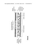 FAST TUNABLE LIQUID CRYSTAL OPTICAL APPARATUS AND METHOD OF OPERATION diagram and image