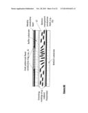 FAST TUNABLE LIQUID CRYSTAL OPTICAL APPARATUS AND METHOD OF OPERATION diagram and image