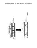 FAST TUNABLE LIQUID CRYSTAL OPTICAL APPARATUS AND METHOD OF OPERATION diagram and image