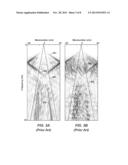 NEAR-SURFACE NOISE PREDICTION AND REMOVAL FOR DATA RECORDED WITH     SIMULTANEOUS SEISMIC SOURCES diagram and image