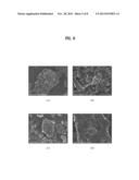 METHOD AND APPARATUS FOR MANUFACTURING GRAPHENE POWDER AND GRAPHENE POWDER     MANUFACTURED USING THE SAME diagram and image