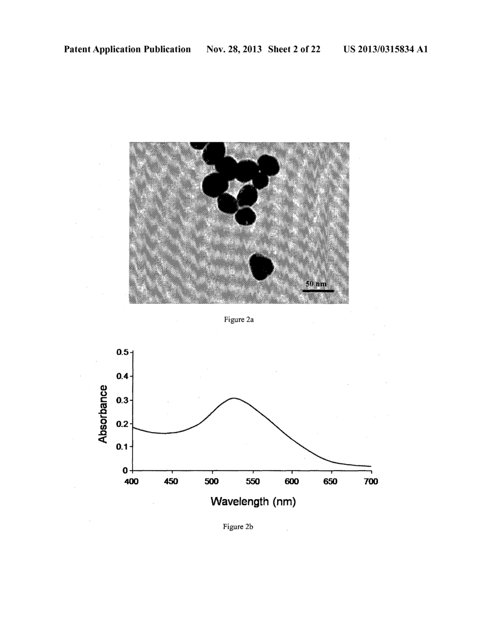 NANOPROBE COMPRISING GOLD COLLOID NANOPARTICLES FOR MULTIMODALITY OPTICAL     IMAGING OF CANCER AND TARGETED DRUG DELIVERY FOR CANCER - diagram, schematic, and image 03