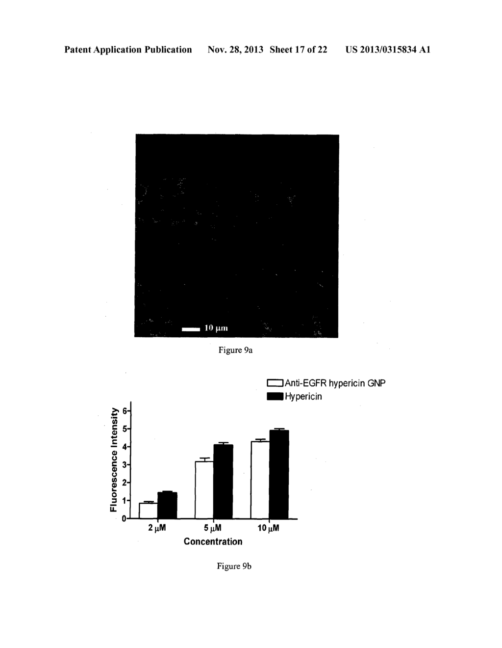 NANOPROBE COMPRISING GOLD COLLOID NANOPARTICLES FOR MULTIMODALITY OPTICAL     IMAGING OF CANCER AND TARGETED DRUG DELIVERY FOR CANCER - diagram, schematic, and image 18