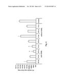 Kexin-Derived Vaccines to Prevent or Treat Fungal Infections diagram and image