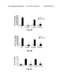 Kexin-Derived Vaccines to Prevent or Treat Fungal Infections diagram and image