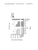 Kexin-Derived Vaccines to Prevent or Treat Fungal Infections diagram and image