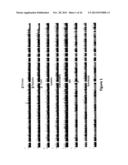 Common and Rare Genetic Variations Associated with Common Variable     Immunodeficiency (CVID) and Methods of Use Thereof for the Treatment and     Diagnosis of the Same diagram and image