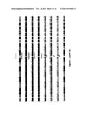 Common and Rare Genetic Variations Associated with Common Variable     Immunodeficiency (CVID) and Methods of Use Thereof for the Treatment and     Diagnosis of the Same diagram and image