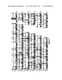 Common and Rare Genetic Variations Associated with Common Variable     Immunodeficiency (CVID) and Methods of Use Thereof for the Treatment and     Diagnosis of the Same diagram and image