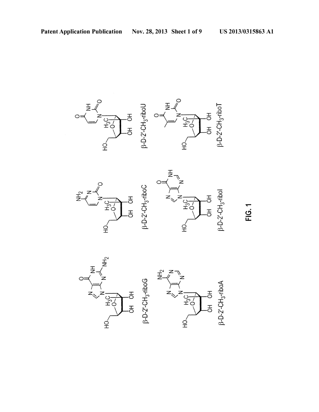 METHODS AND COMPOSITIONS FOR TREATING FLAVIVIRIDAE INFECTIONS - diagram, schematic, and image 02