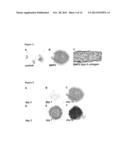 DIFFERENTIATION OF HUMAN EMBRYONIC AND INDUCED PLURIPOTENT STEM CELLS diagram and image