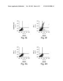 ABCB5 POSITIVE MESENCHYMAL STEM CELLS AS IMMUNOMODULATORS diagram and image