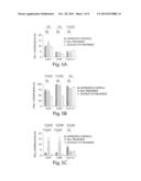 ABCB5 POSITIVE MESENCHYMAL STEM CELLS AS IMMUNOMODULATORS diagram and image