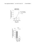 ABCB5 POSITIVE MESENCHYMAL STEM CELLS AS IMMUNOMODULATORS diagram and image