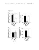 METHOD AND ASSAY FOR GLYCOSYLATION PATTERN DETECTION RELATED TO CELL STATE     OF STEM CELLS diagram and image