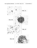 THERAPEUTIC AND DIAGNOSTIC METHODS AND COMPOSITIONS TARGETING 4IG-B7-H3     AND ITS COUNTERPART NK CELL RECEPTOR diagram and image