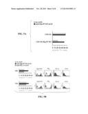 THERAPEUTIC AND DIAGNOSTIC METHODS AND COMPOSITIONS TARGETING 4IG-B7-H3     AND ITS COUNTERPART NK CELL RECEPTOR diagram and image